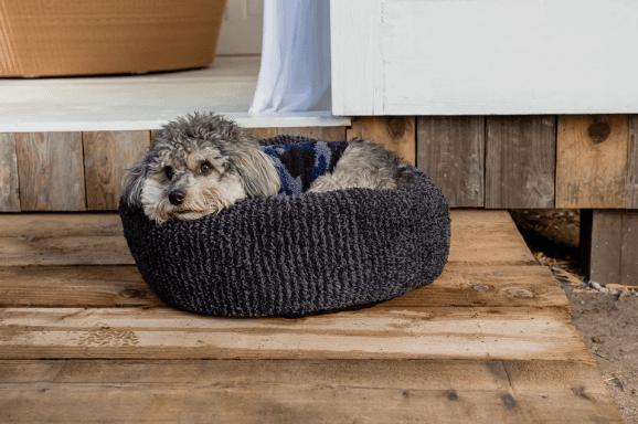 CozyChic Dog Nest Bed by Barefoot Dreams