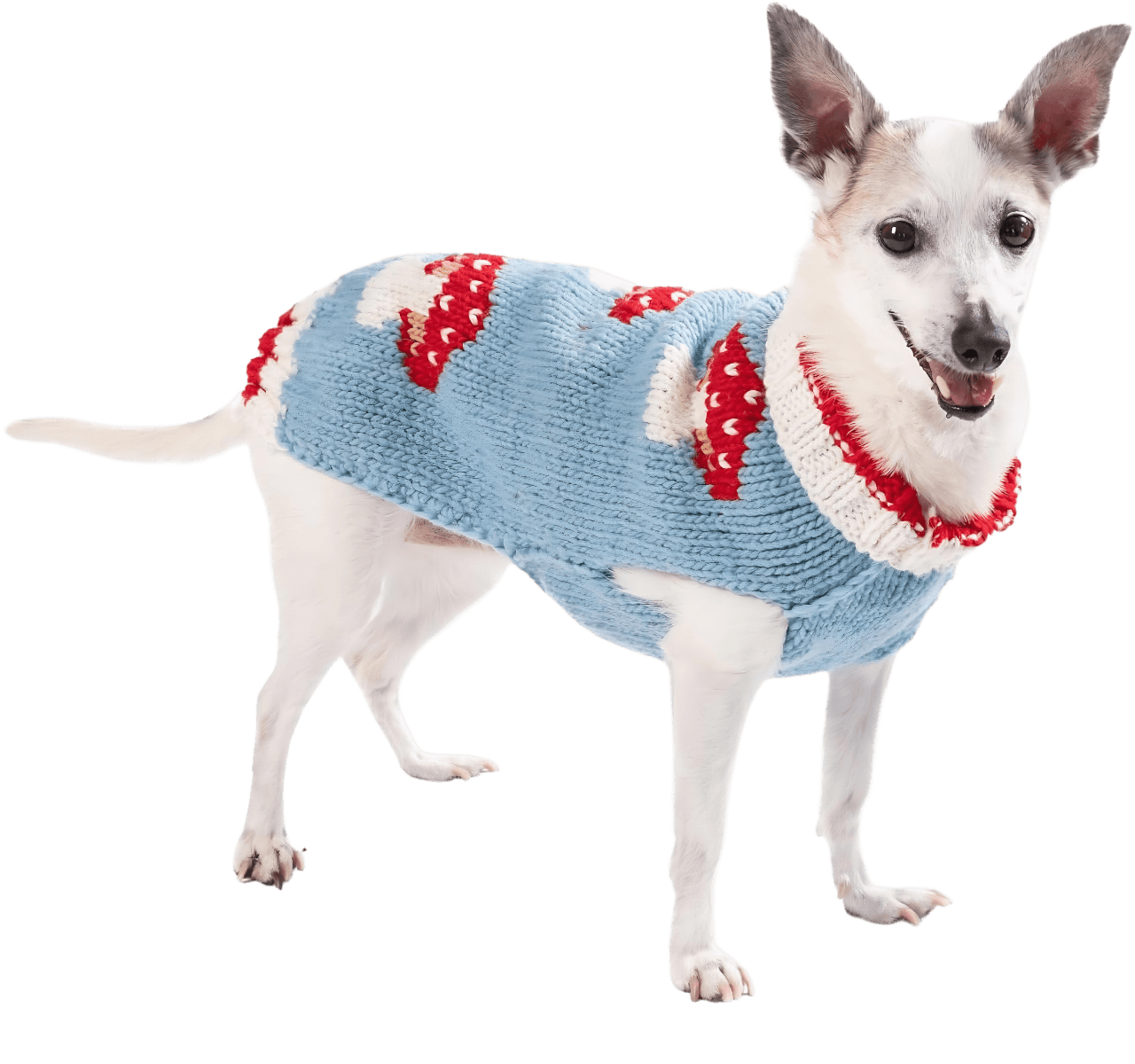 Cottage-Core Vibes Dog Sweater