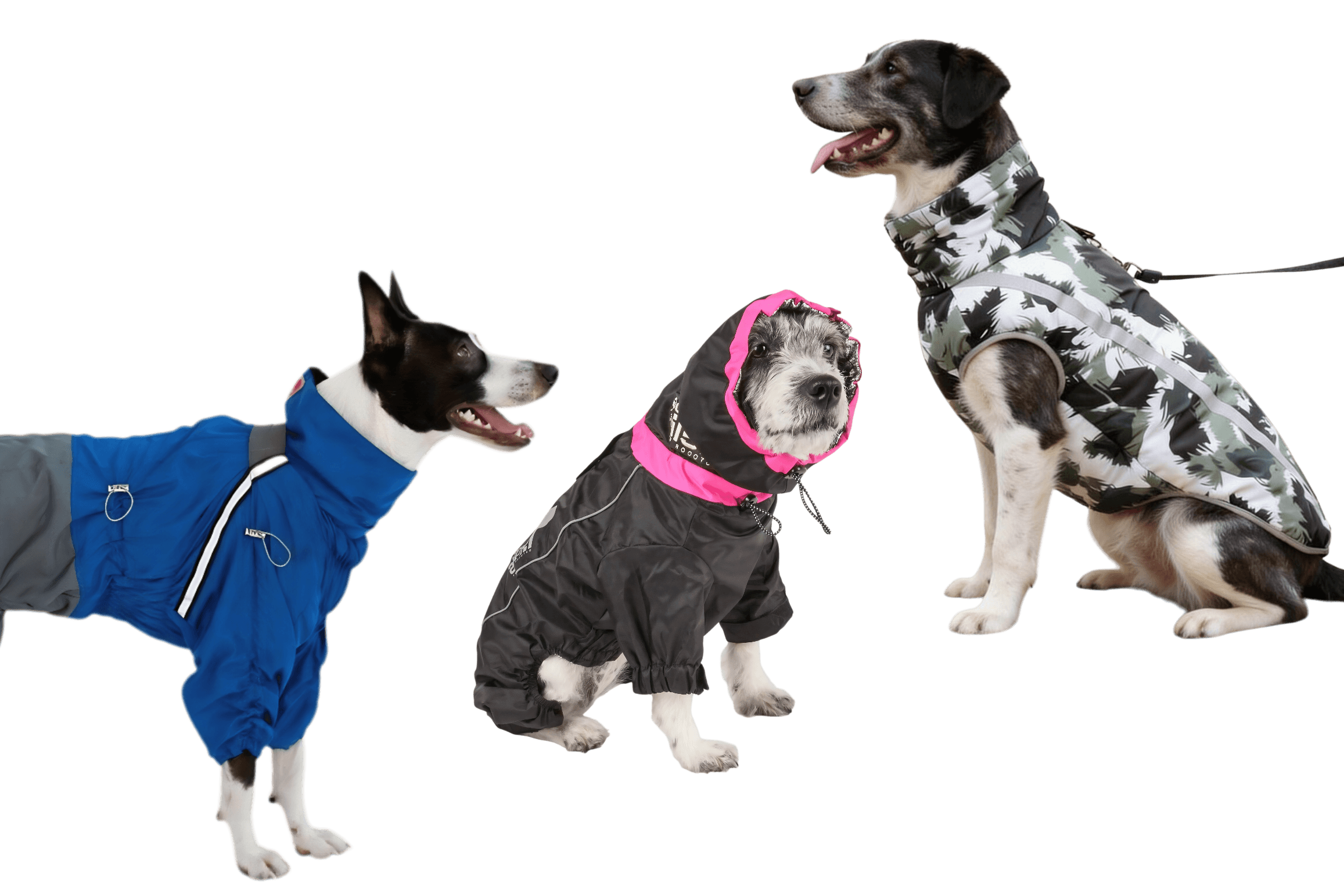 Full-Body Big Dog Jackets (No More Wet Dog Drama)