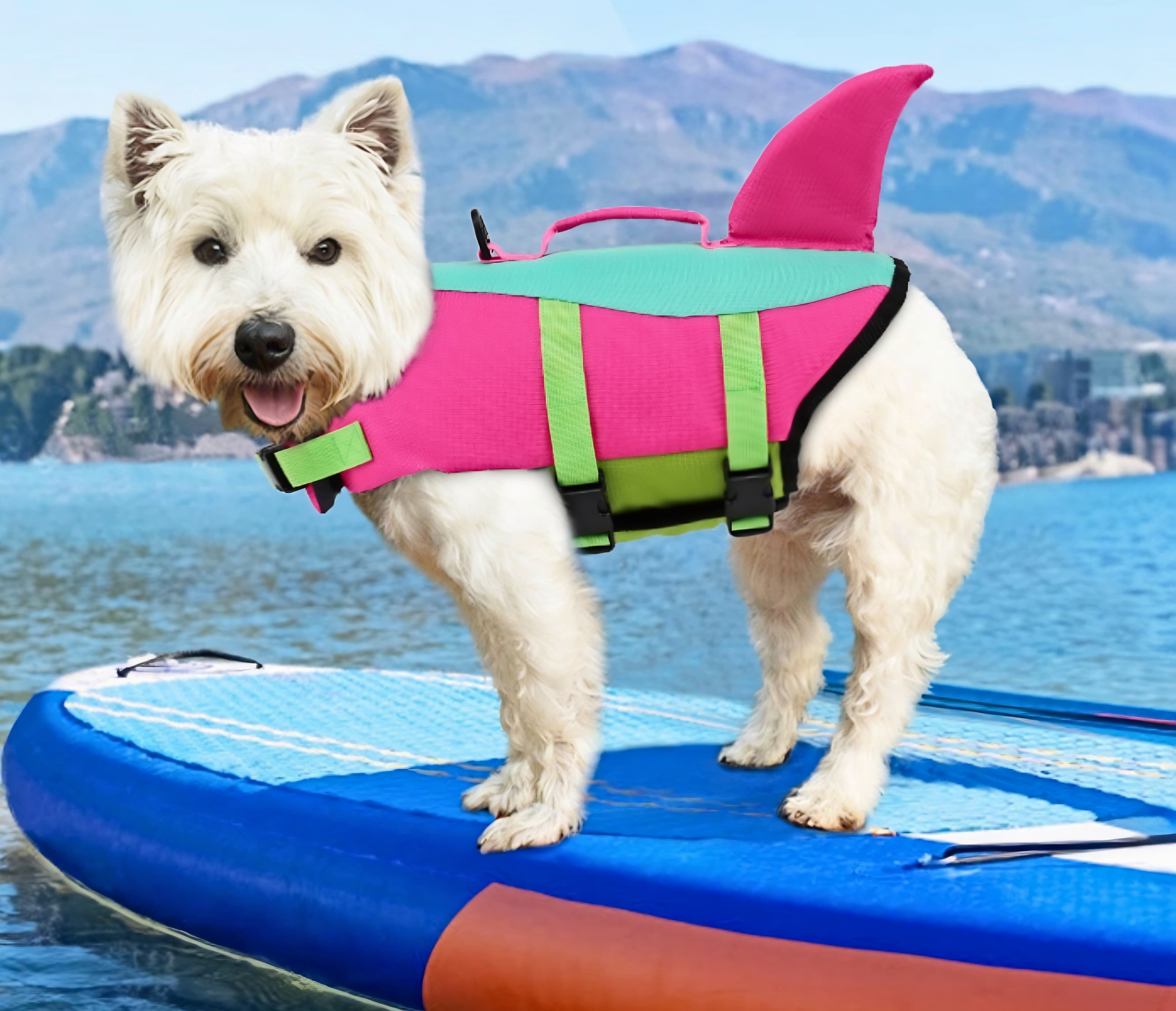 Shark Fin Dog Life Vest