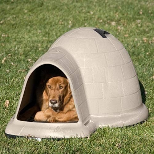 12,400 Reviews. Still a Perfect Igloo.