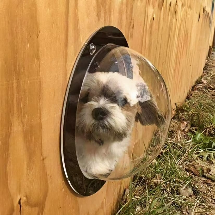 Peekaboo Fence Window
